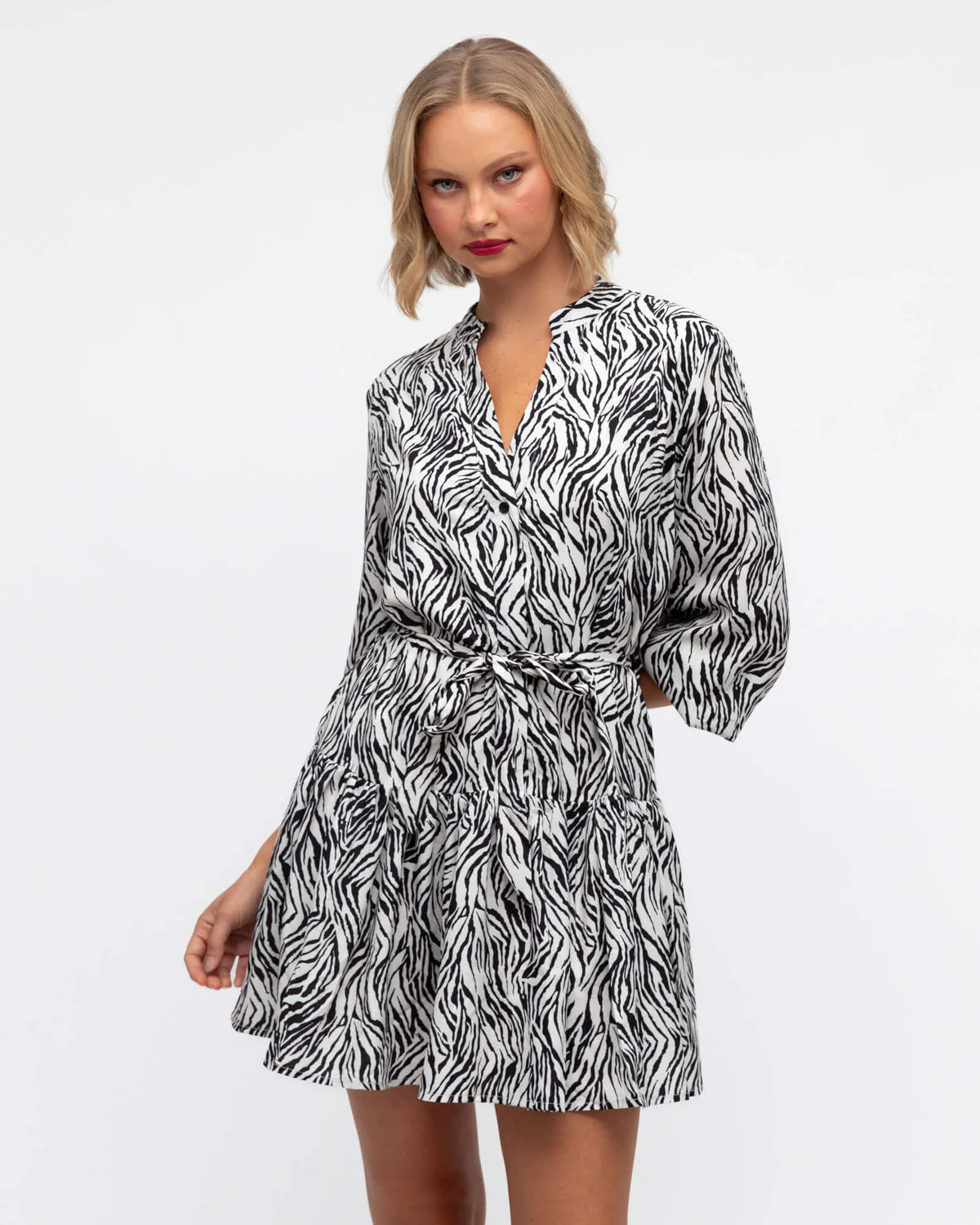 Zebra Mini Dress