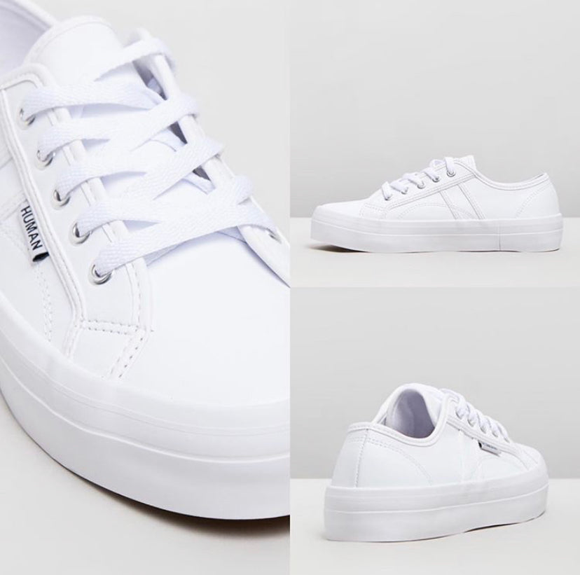 Cass Leather Sneakers