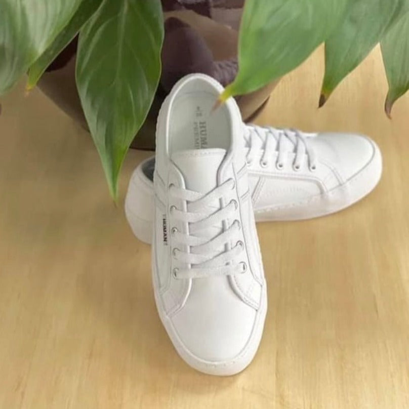 Cass Leather Sneakers