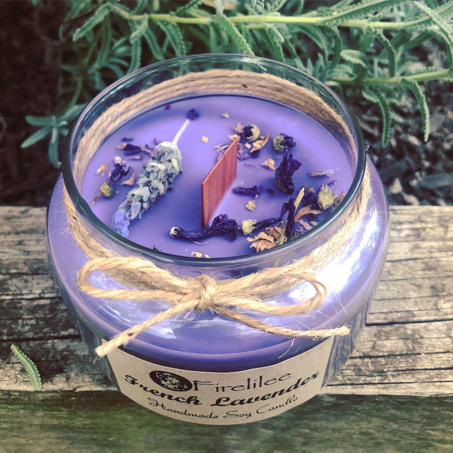 Medium Apothecary Jar | Botanical Range