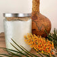 Aurora Range Candles | Clear