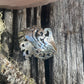 Sterling Silver Wrap Ring