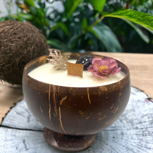 Coconut Bowl Candles Medium | Moonlight in Mumbai